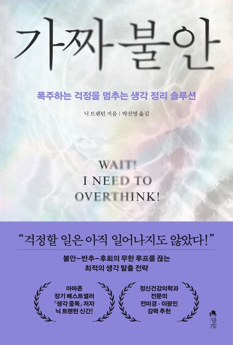 가짜 불안: 폭주하는 걱정을 멈추는 생각 정리 솔루션